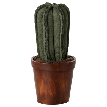 Miniatuur bloempot met cactus