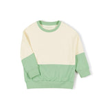 Lab sweater - Spring