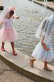 Prinsessenkostuum met kroon - Cloud pink