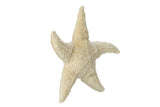 Cuddly starfish with heat cushion pits - Large - Senger Naturwelt