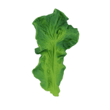 Oli & Carol - Badspeeltje kool